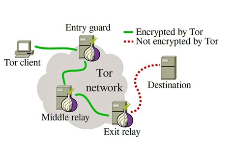 Tor Diagram